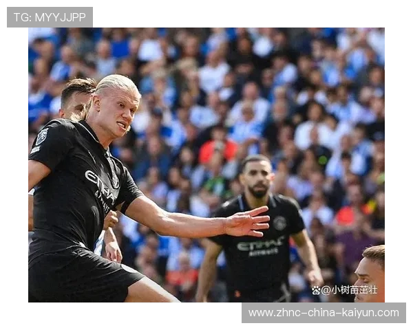 哈兰德家乡足球场排长龙签名,粉丝感动到落泪 哈兰德家乡足球场排长龙签名,粉丝感动到落泪